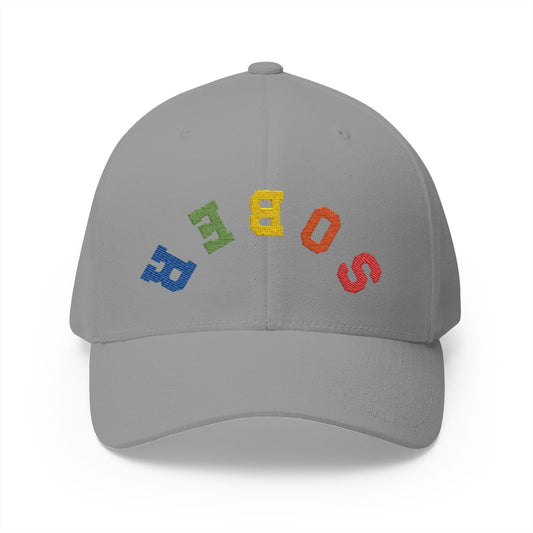 Embroidered Fitted Cap with 'SOBER'