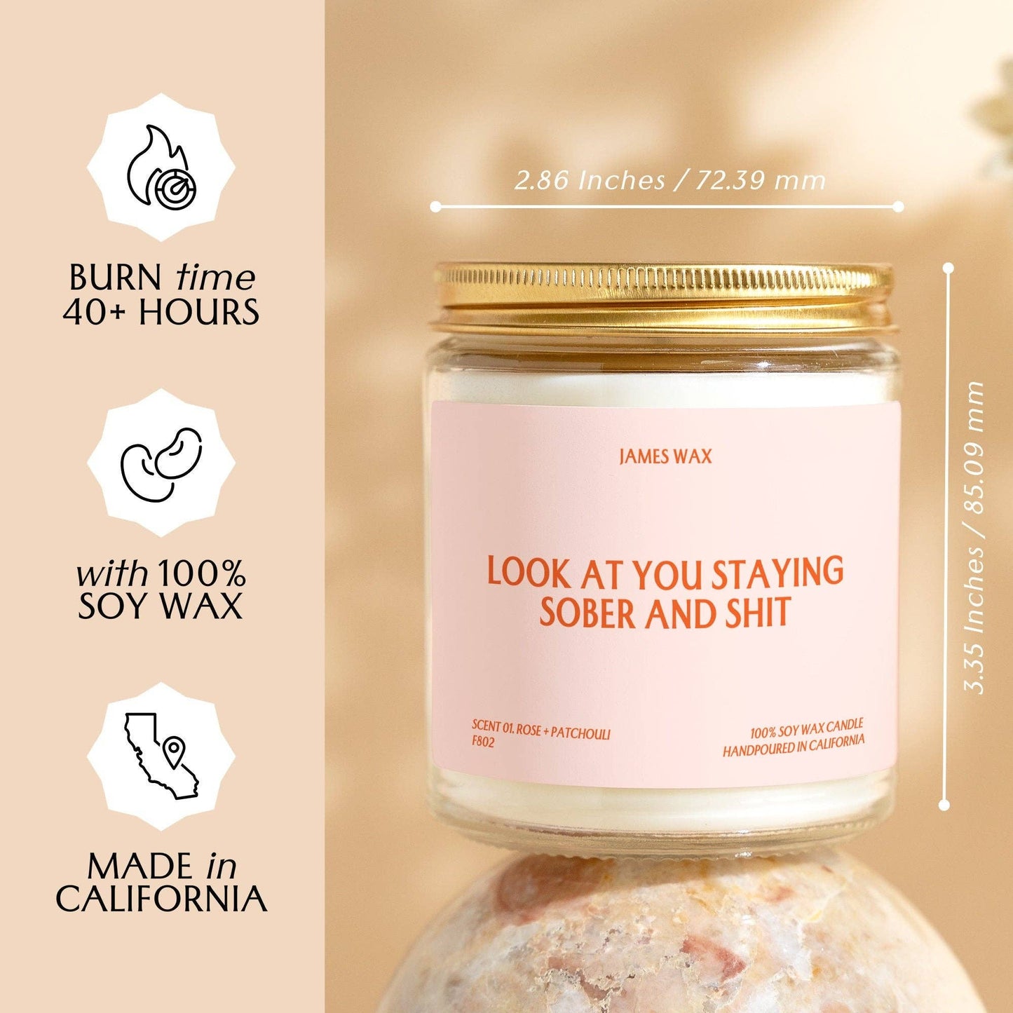 Sobriety Look At You Staying Sober And Shit Coconut & Orange Scent