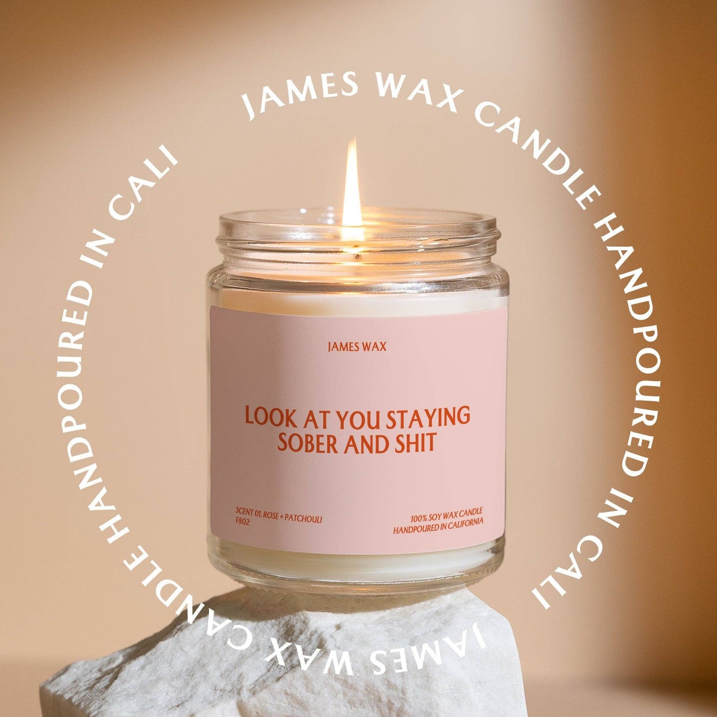 Sobriety Look At You Staying Sober And Shit Coconut & Orange Scent