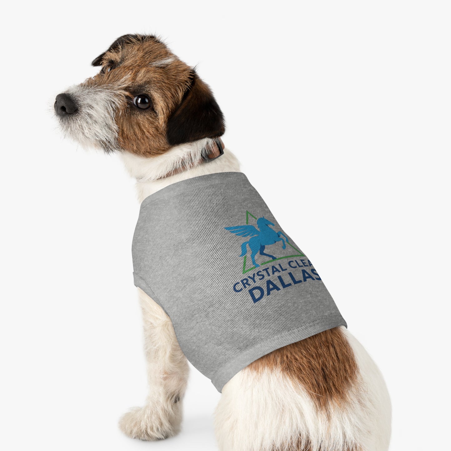Crystal Clear Dallas Logo Pet Tee
