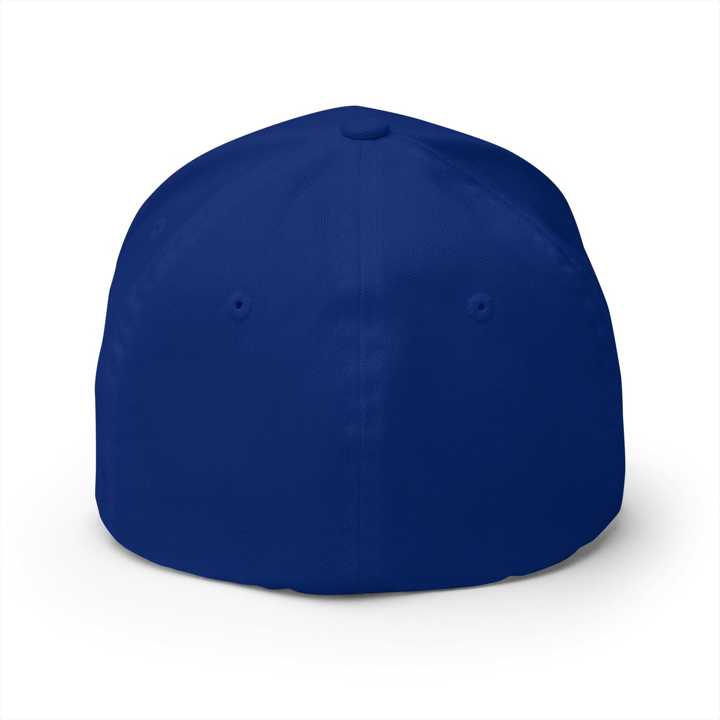 Embroidered Fitted Cap with 'SOBER'