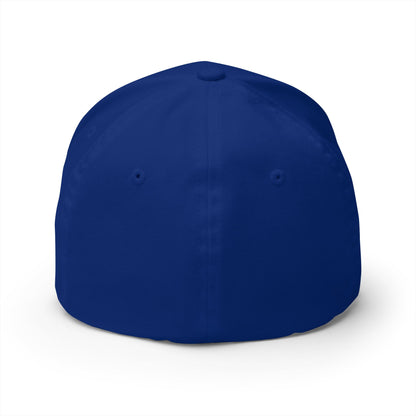 Embroidered Fitted Cap with 'SOBER'